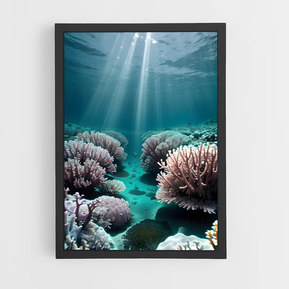 ap-aldabra atoll-1 cadre Noir