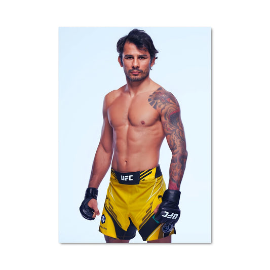 Poster Alexandre pantoja 62014