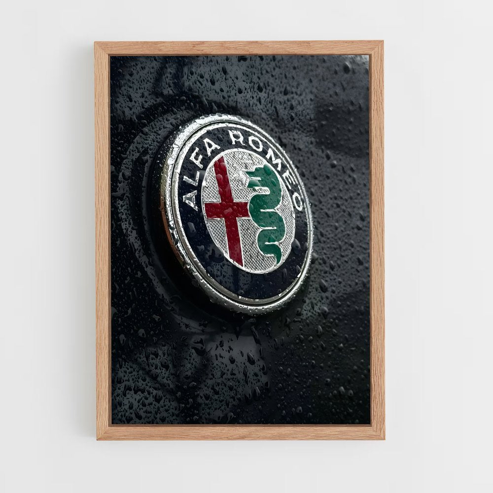 ap-alfa romeo-3 cadre Bois clair