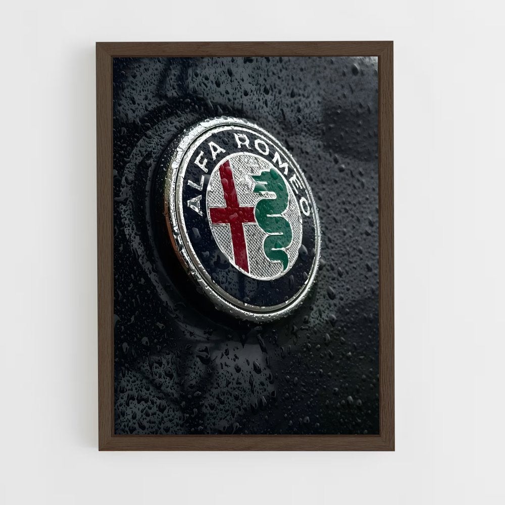 ap-alfa romeo-3 cadre Bois foncé