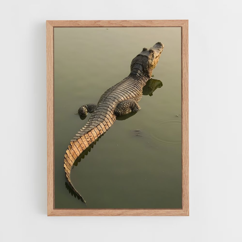 ap-alligator-5 cadre Bois clair