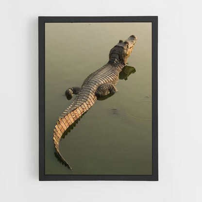 ap-alligator-5 cadre Noir