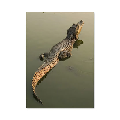 Poster Alligator Flottant