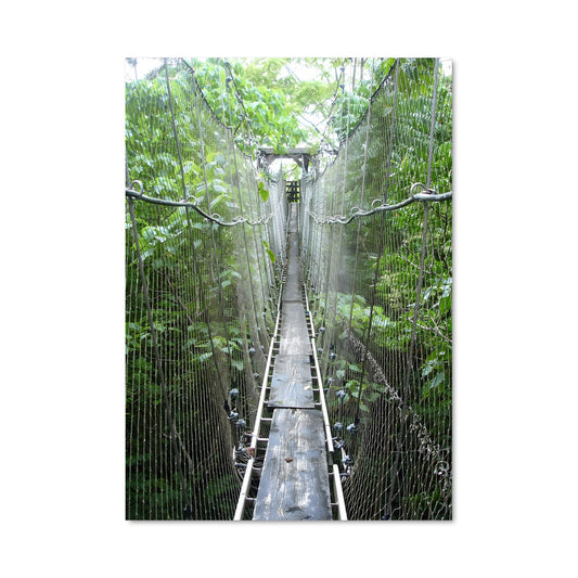 Poster Pont Suspendu des Merveilles