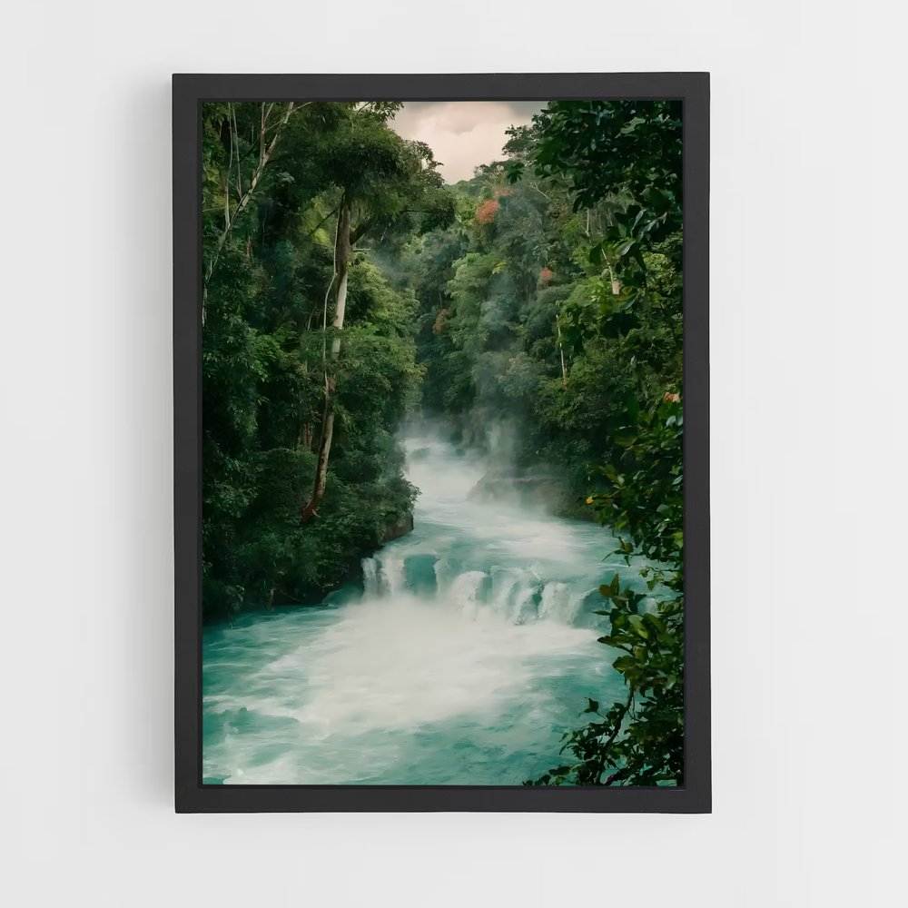 ap-amazon rainforest-13 cadre Noir