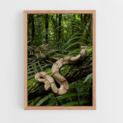 ap-amazon rainforest-14 cadre Bois clair