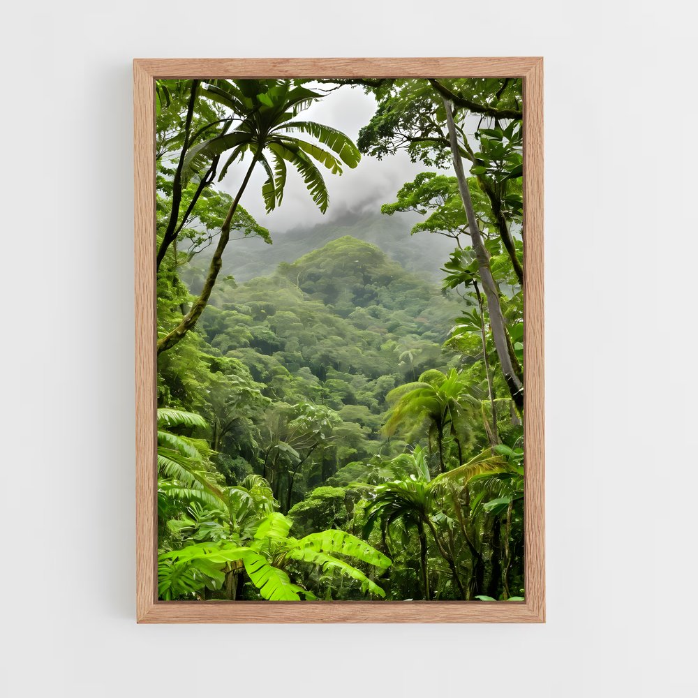 ap-amazon rainforest-7 cadre Bois clair