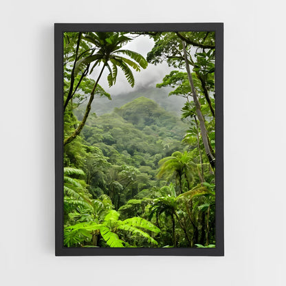 ap-amazon rainforest-7 cadre Noir