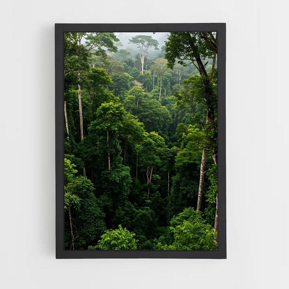 ap-amazon rainforest-9 cadre Noir