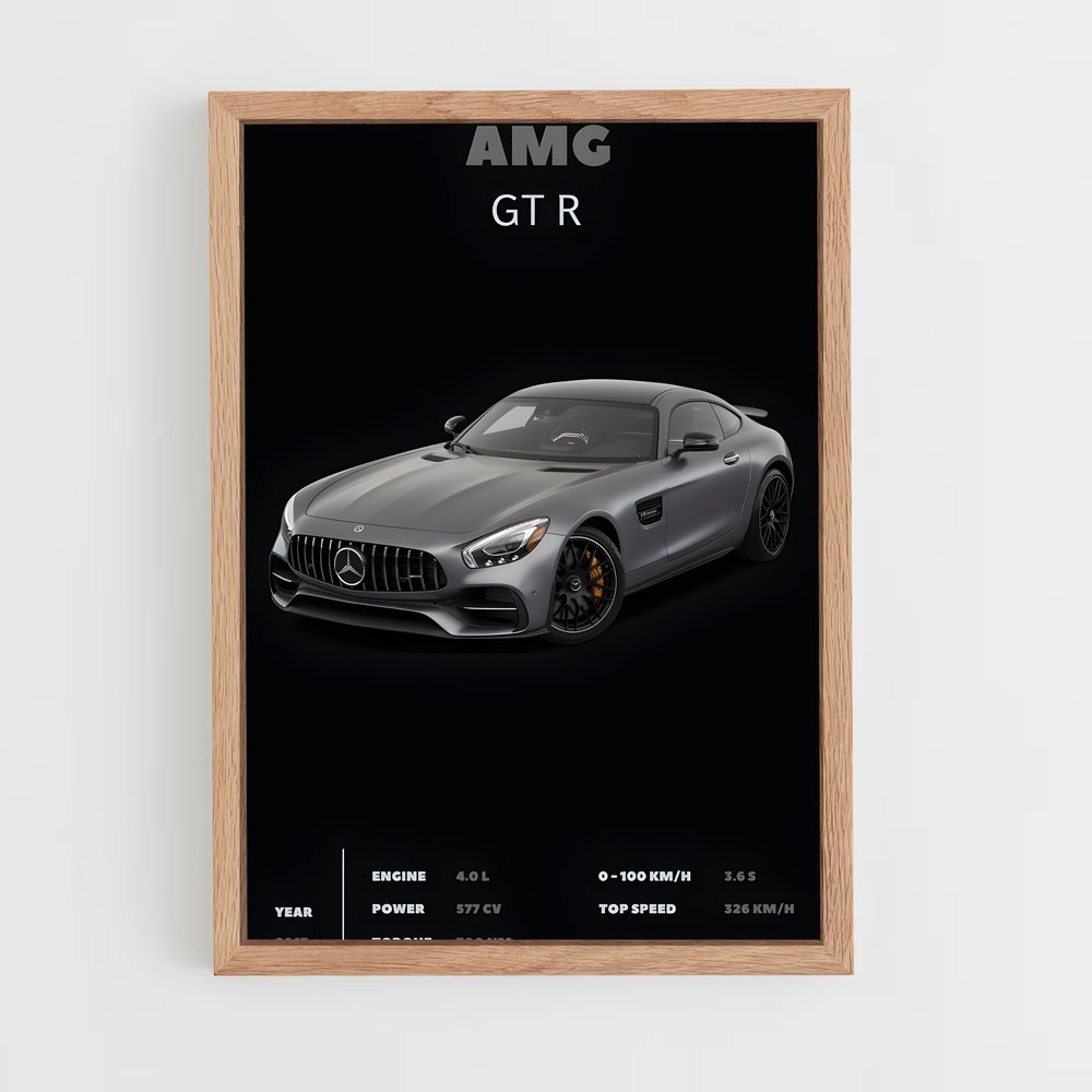 ap-amg gt r-3 cadre Bois clair