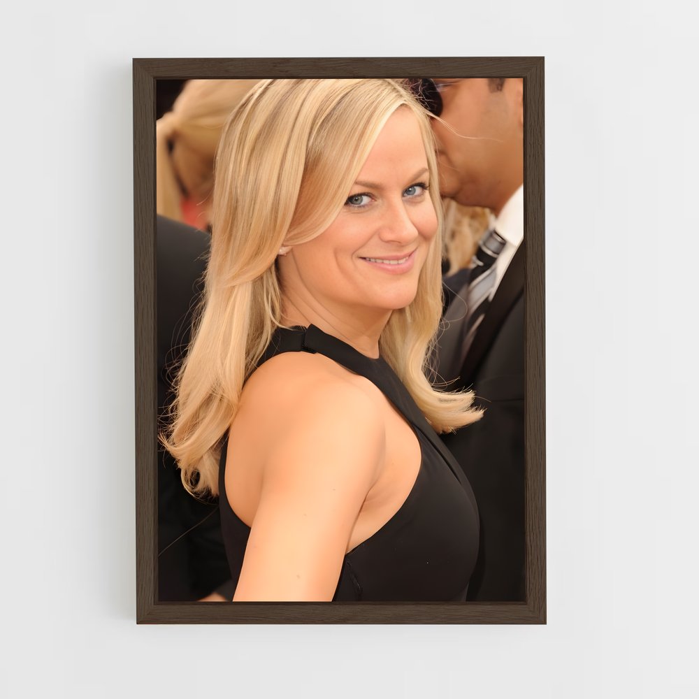 ap-amy poehler-4 cadre Bois foncé