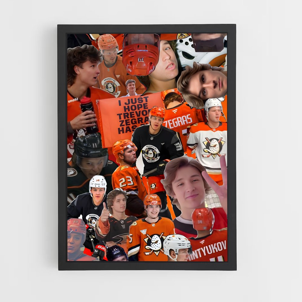 ap-anaheim ducks-11 cadre Noir