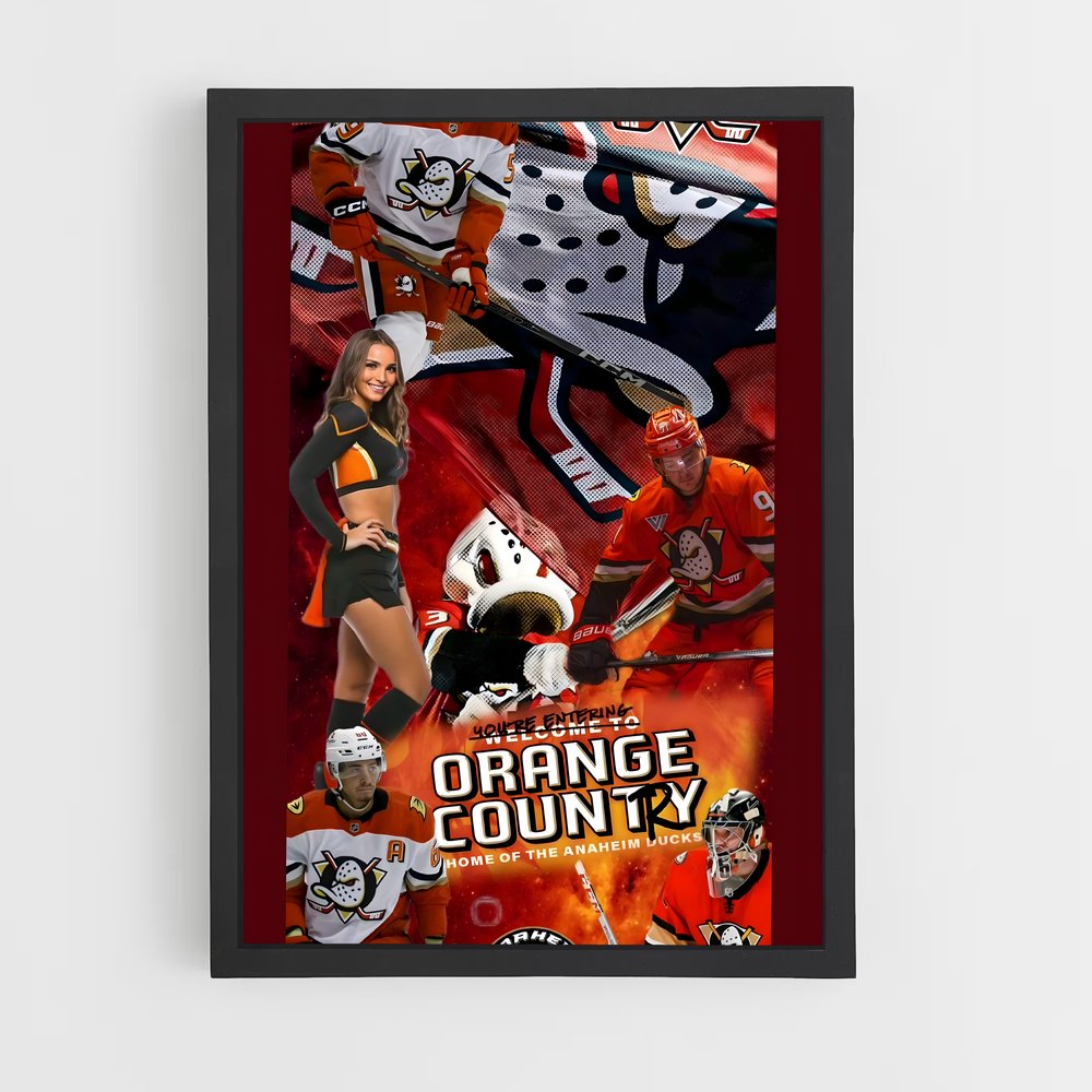 ap-anaheim ducks-12 cadre Noir