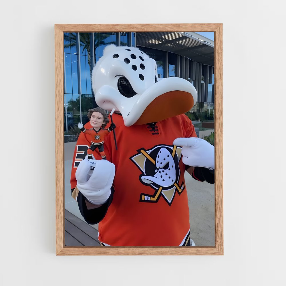 ap-anaheim ducks-4 cadre Bois clair