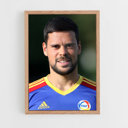 ap-andorra national football team-1 cadre Bois clair
