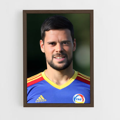 ap-andorra national football team-1 cadre Bois foncé