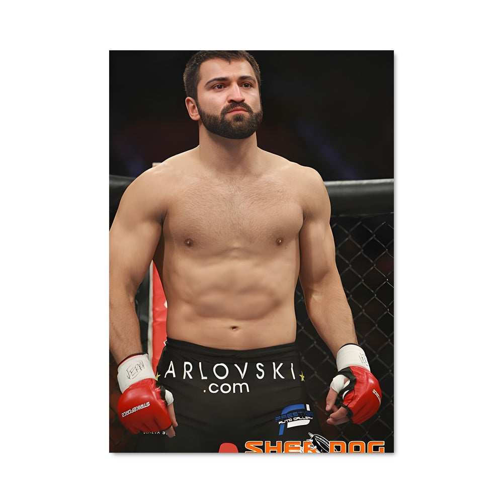 Poster Le Combat d'Andrei