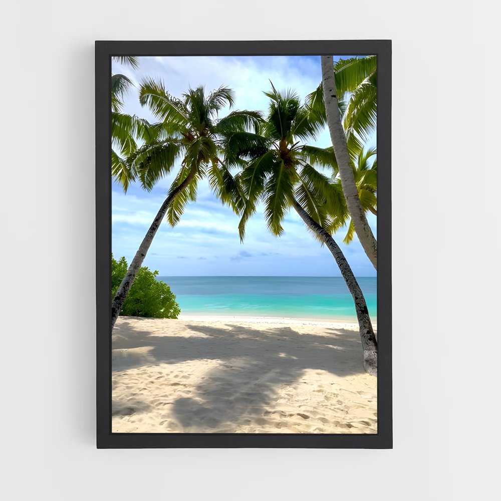 ap-anse lazio-3 cadre Noir
