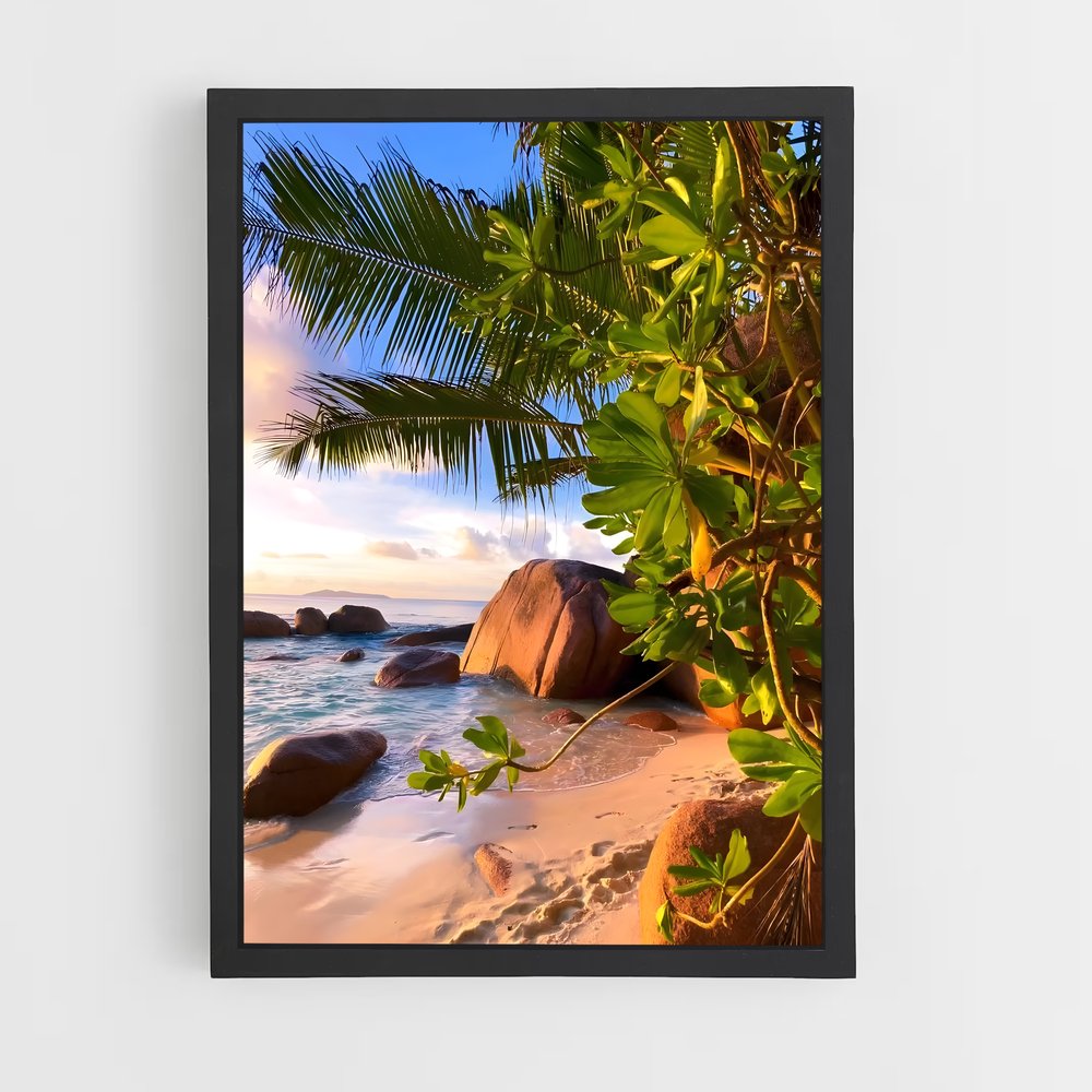 ap-anse lazio-5 cadre Noir