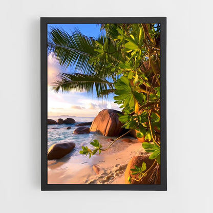 ap-anse lazio-5 cadre Noir