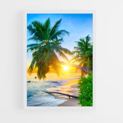 ap-anse lazio-8 cadre Blanc