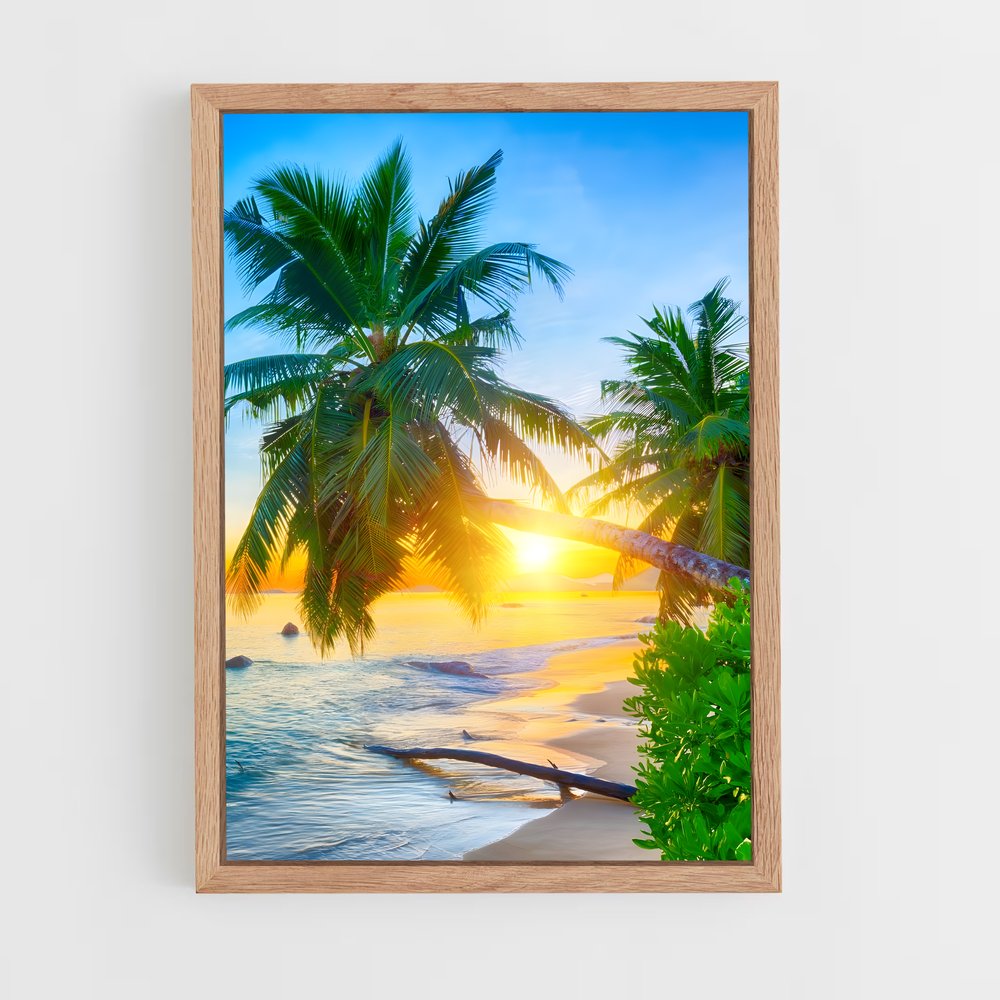 ap-anse lazio-8 cadre Bois clair
