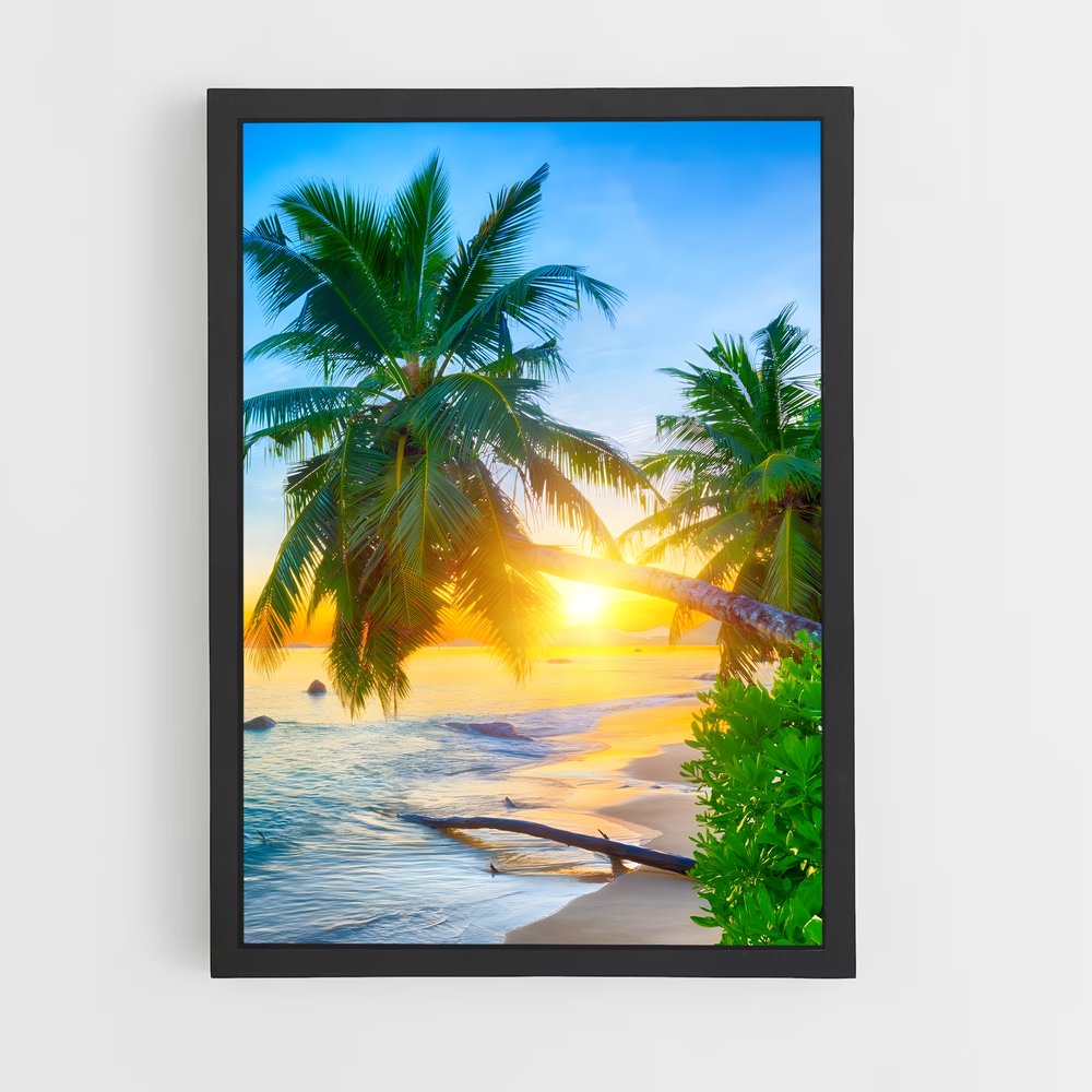 ap-anse lazio-8 cadre Noir