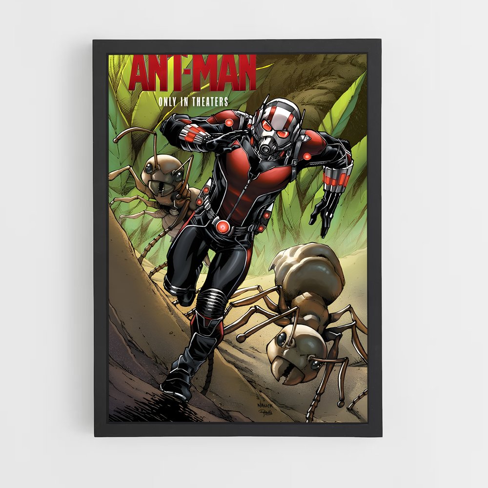 ap-ant man-2 cadre Noir