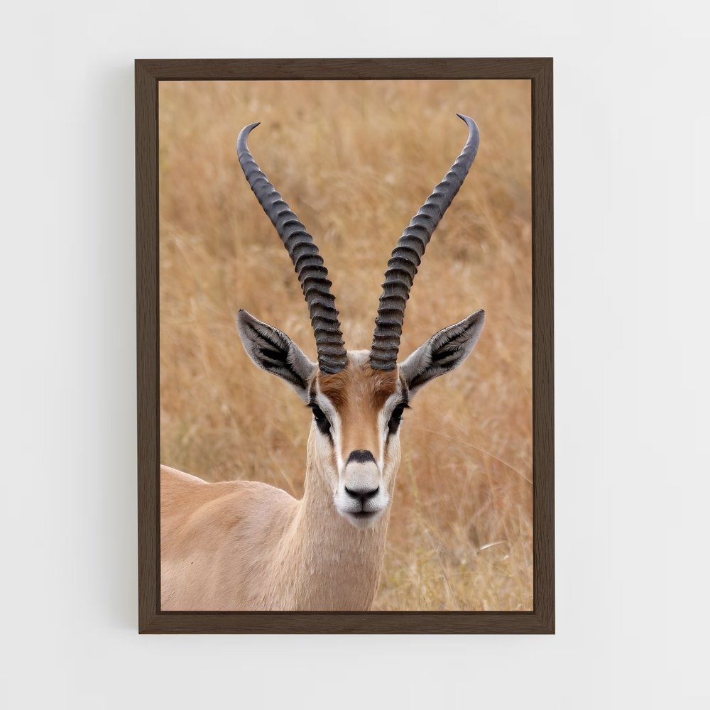ap-antelope-9 cadre Bois foncé