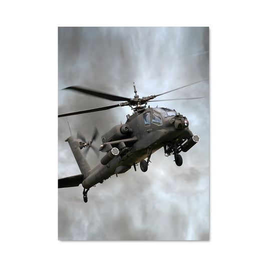 Poster Vol de Prédateur