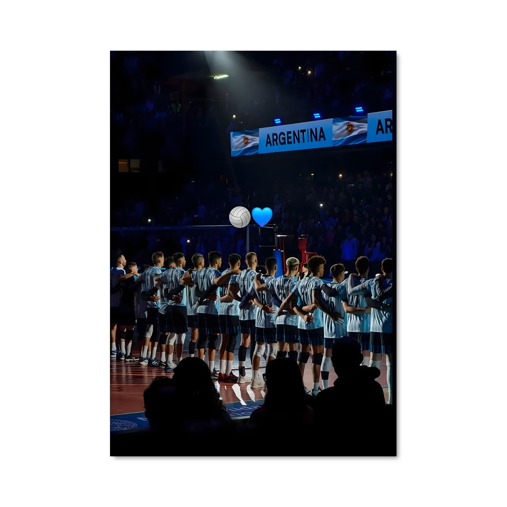 Poster Argentina national volleyball team 74904