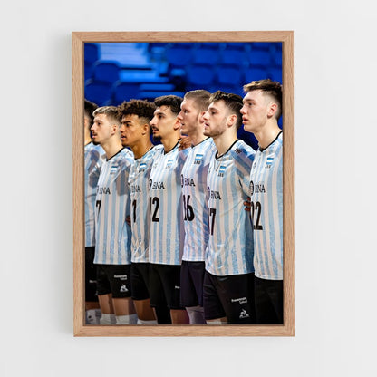 ap-argentina national volleyball team-2 cadre Bois clair