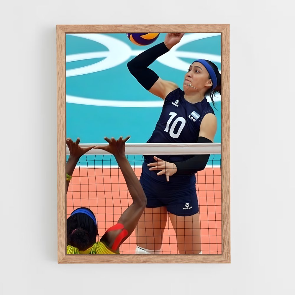 ap-argentina national volleyball team-5 cadre Bois clair