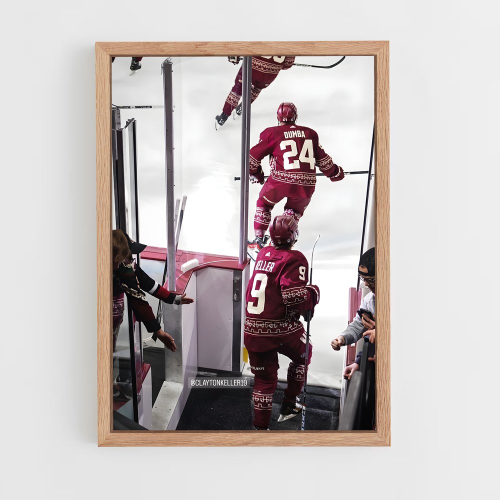 ap-arizona coyotes-4 cadre Bois clair