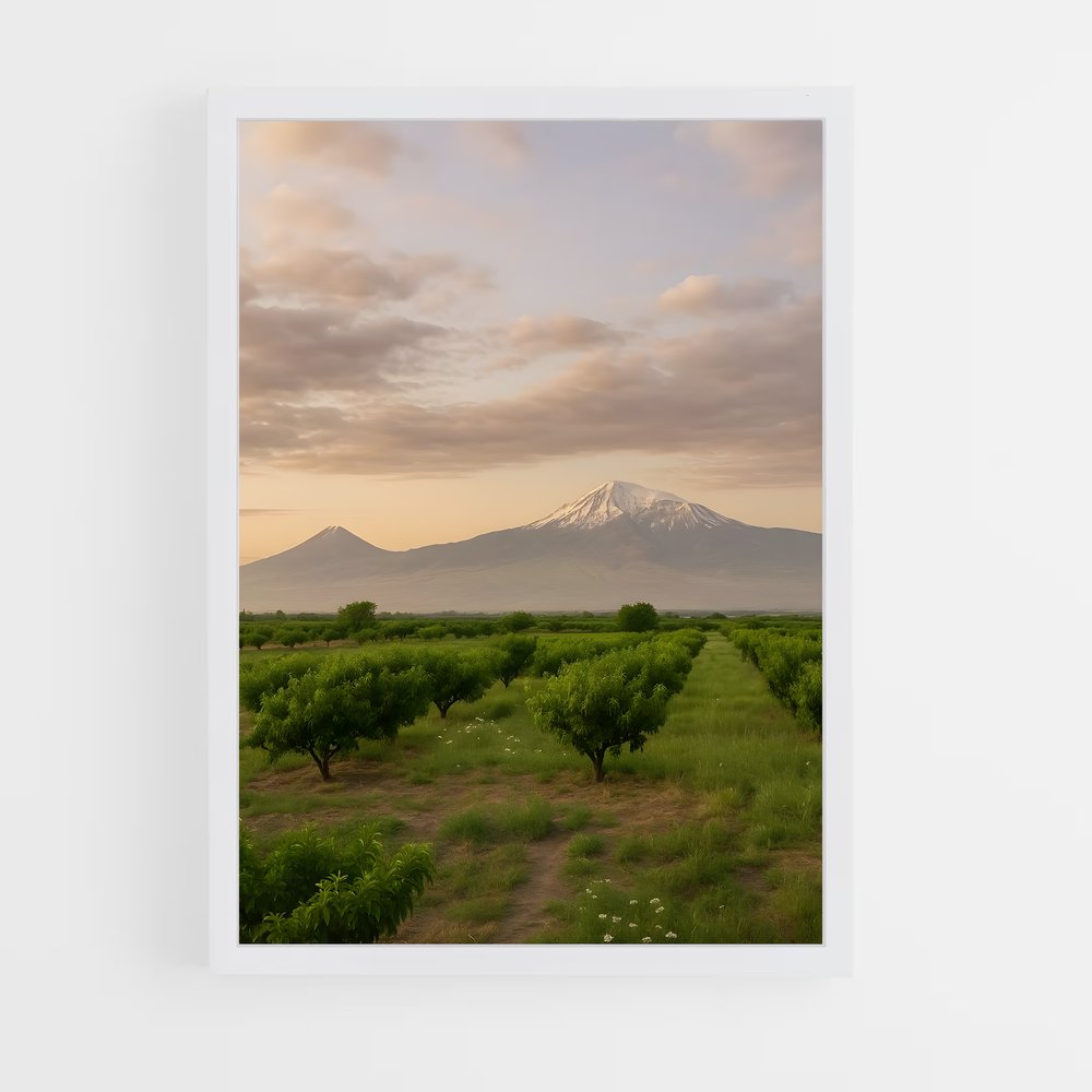ap-armenia-6 cadre Blanc