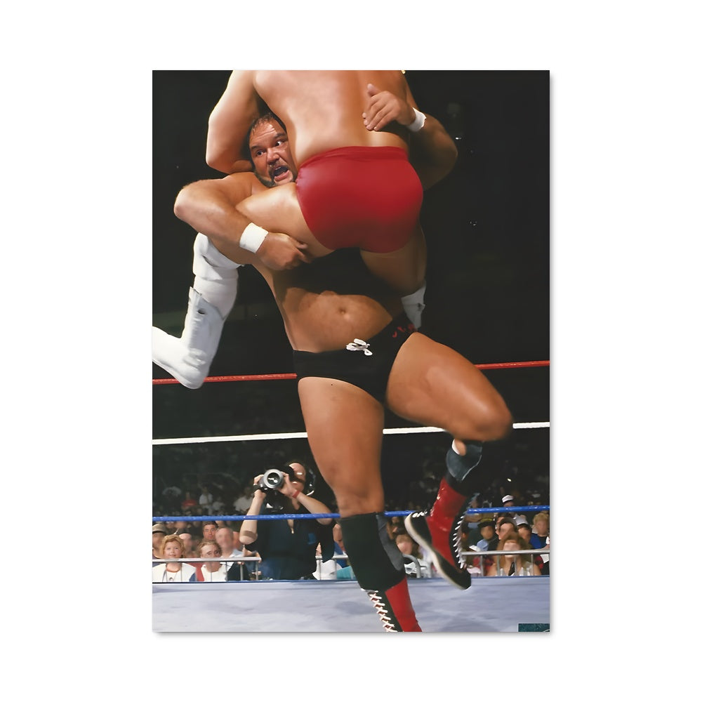 Poster Arn anderson 61094