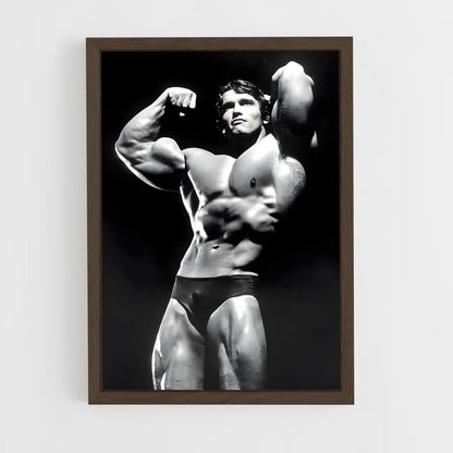ap-arnold classic-2 cadre Bois foncé