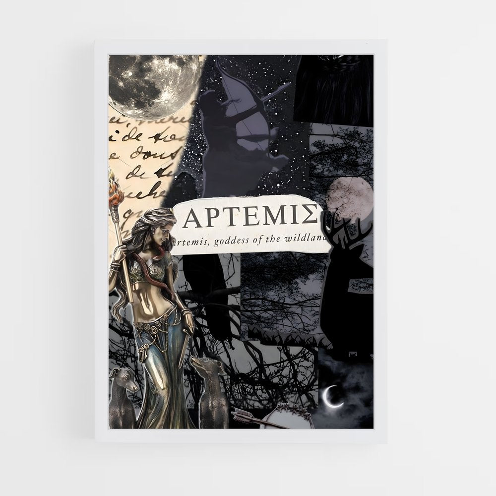 ap-artemis-7 cadre Blanc