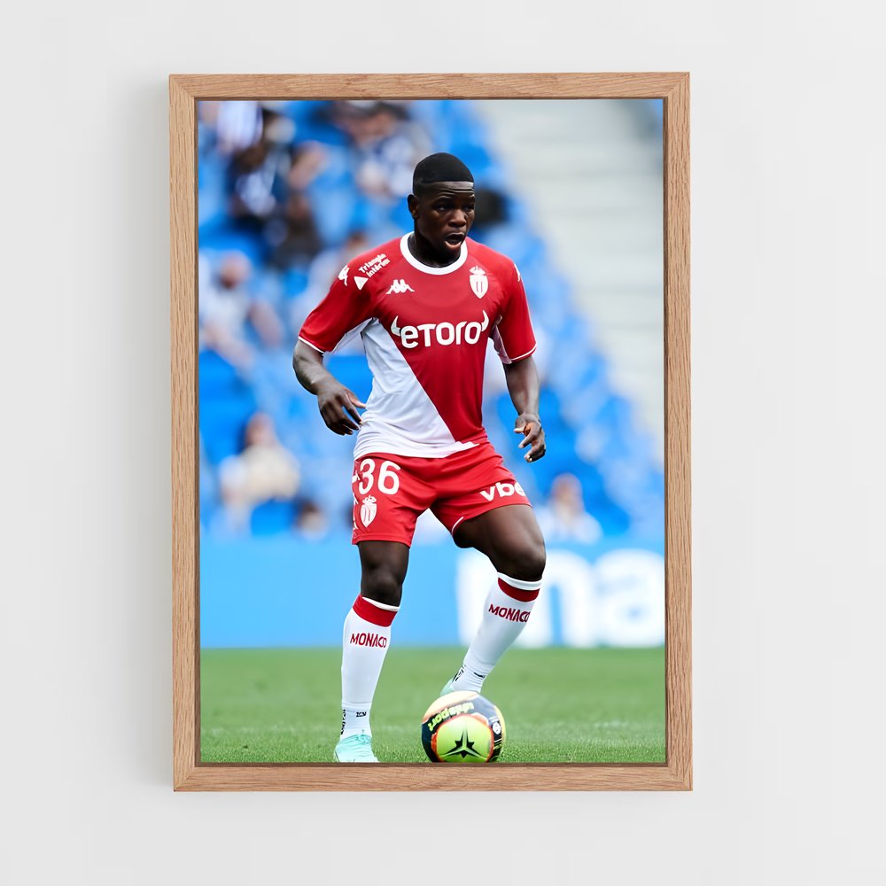 ap-as monaco fc-8 cadre Bois clair