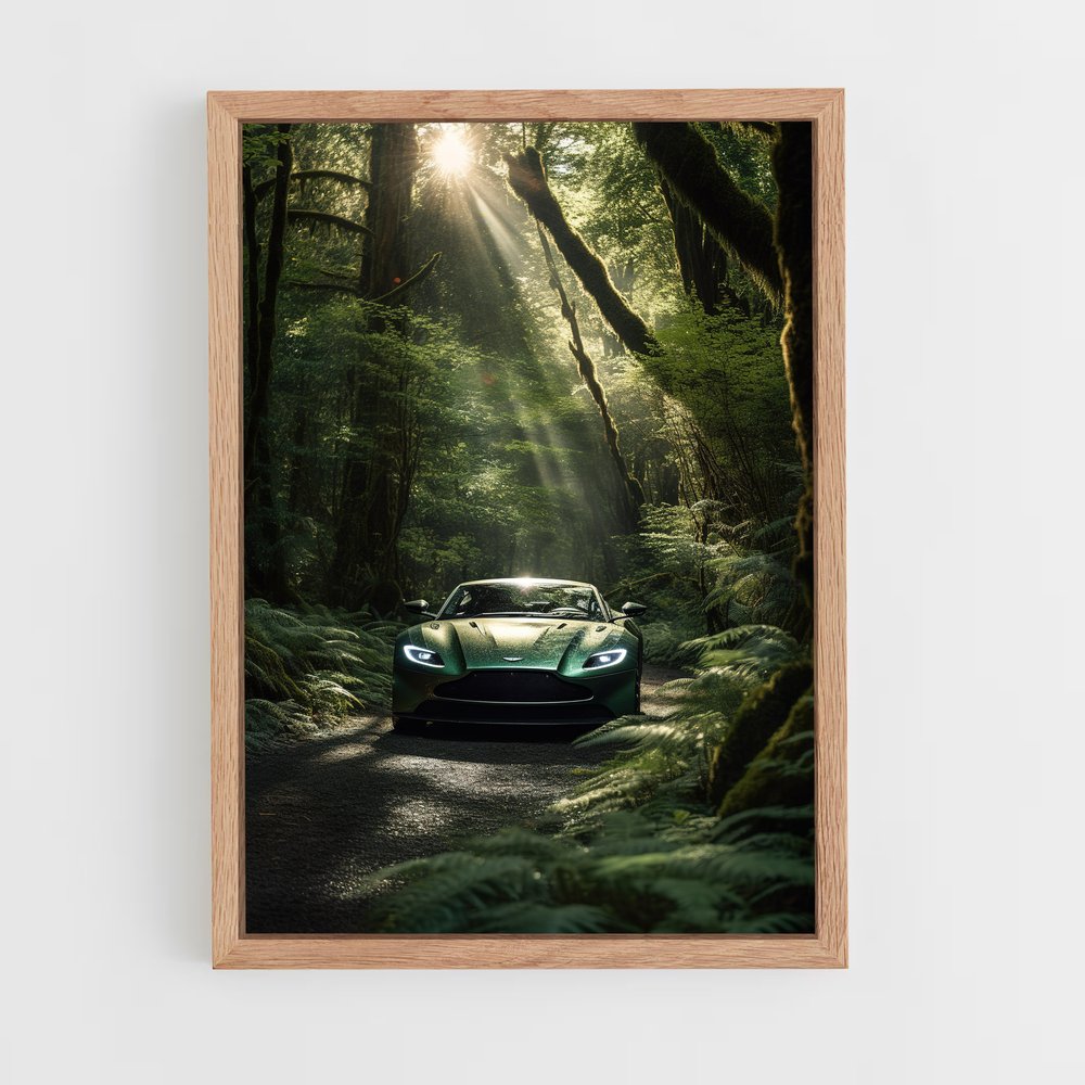 ap-aston martin-7 cadre Bois clair