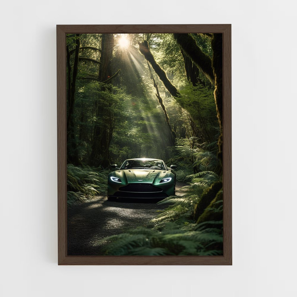 ap-aston martin-7 cadre Bois foncé