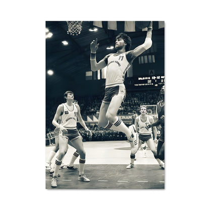 Poster Saut Majestueux