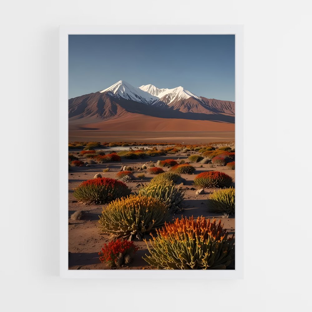 ap-atacama desert-6 cadre Blanc