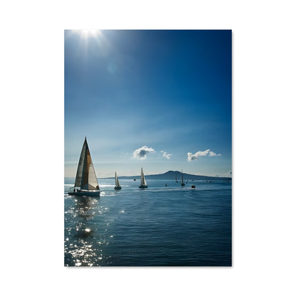 Poster Voiles d'Auckland