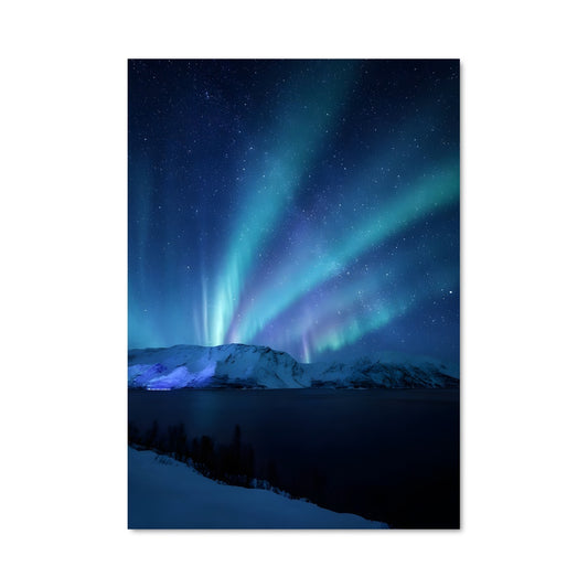 Poster Danses des Lumières