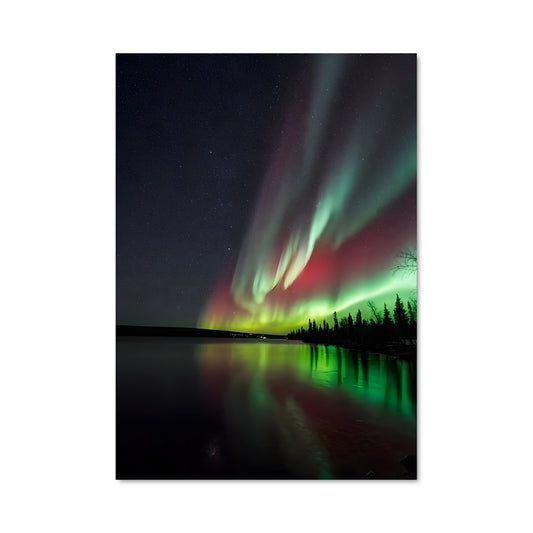 Poster Danses des Étoiles