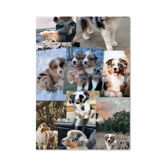 Poster Australian Dream