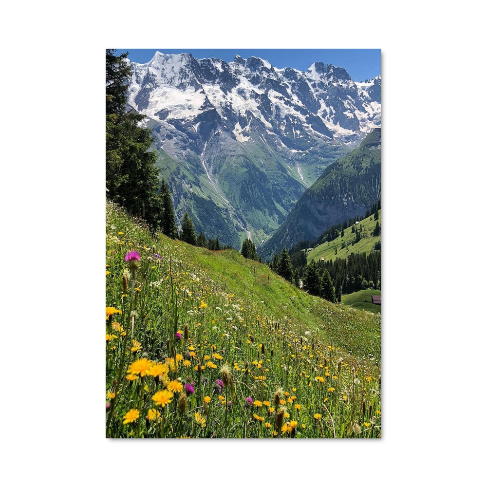 Poster Montagnes Fleurissantes