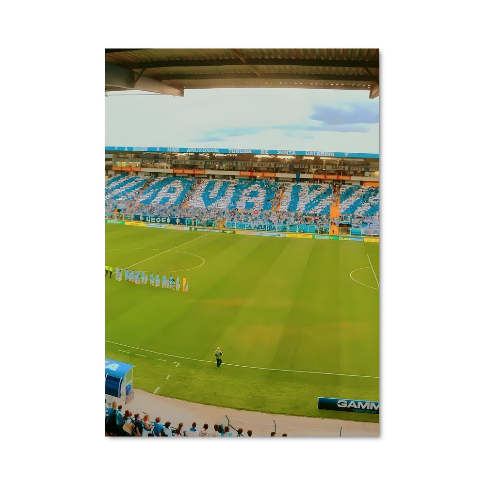 Poster La Ferveur du Stade