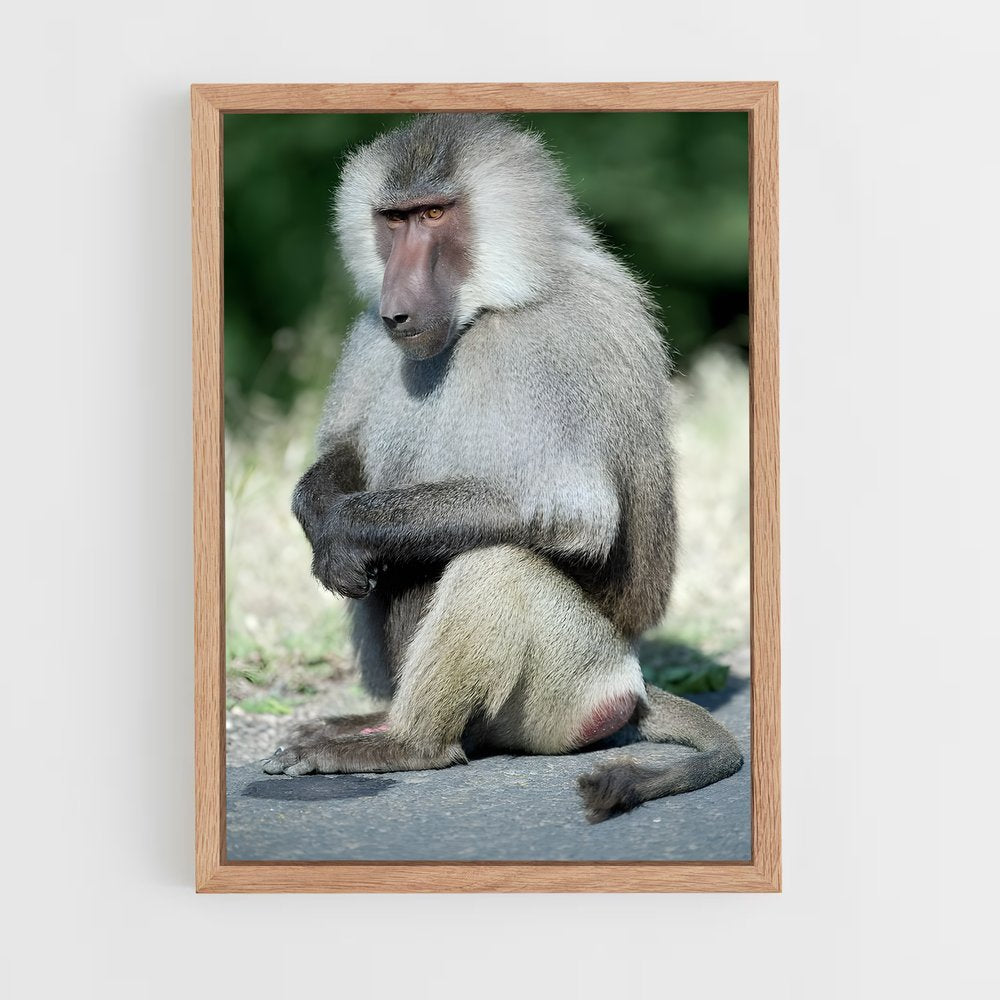 ap-baboon-2 cadre Bois clair